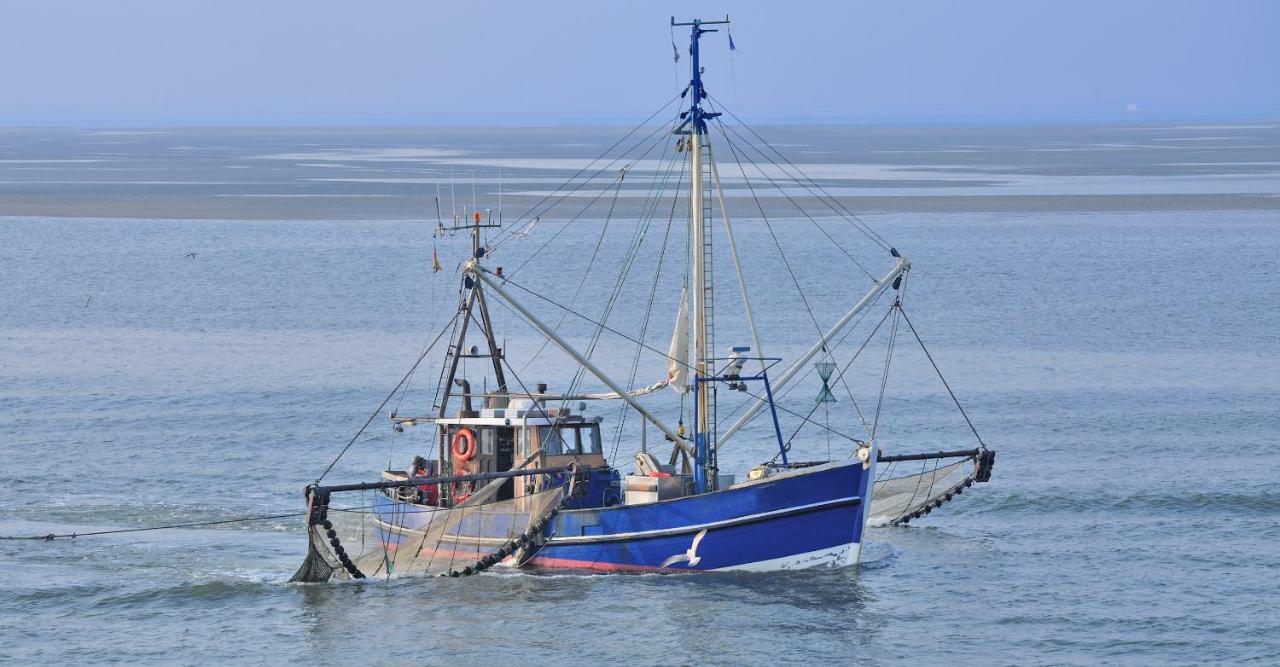 Ferienwohnung Familie Boeckmann Auf Norderney Dış mekan fotoğraf
